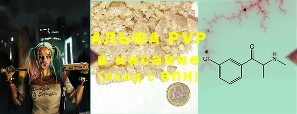 PSILOCYBIN Богданович