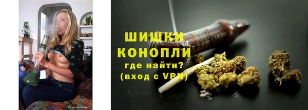 PSILOCYBIN Богданович