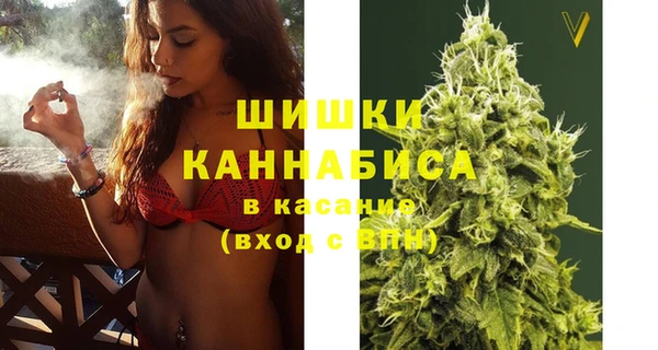 шишки Бугульма