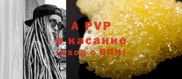 PSILOCYBIN Богданович